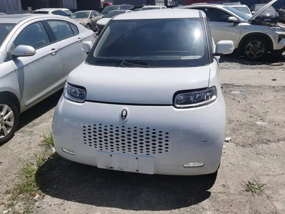 Ora White Cat 2021