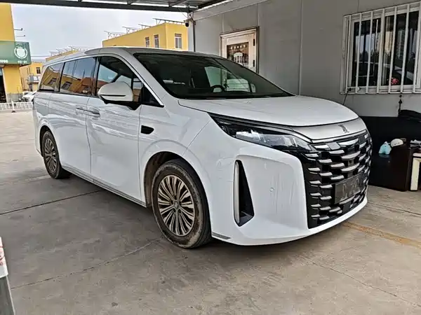 BYD Summer 2025