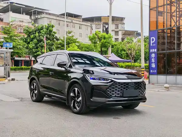 BYD Tang New Energy 2024