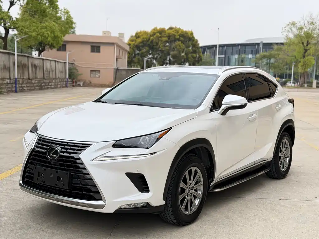 Lexus NX 2019 — фото 1