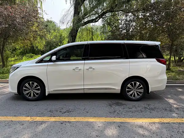 GAC Trumpchi M8 2019