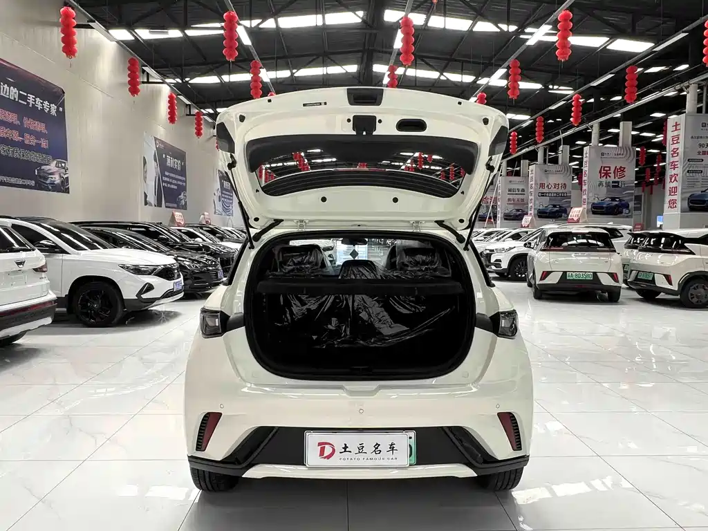 BYD Dolphin 2026 — фото 16