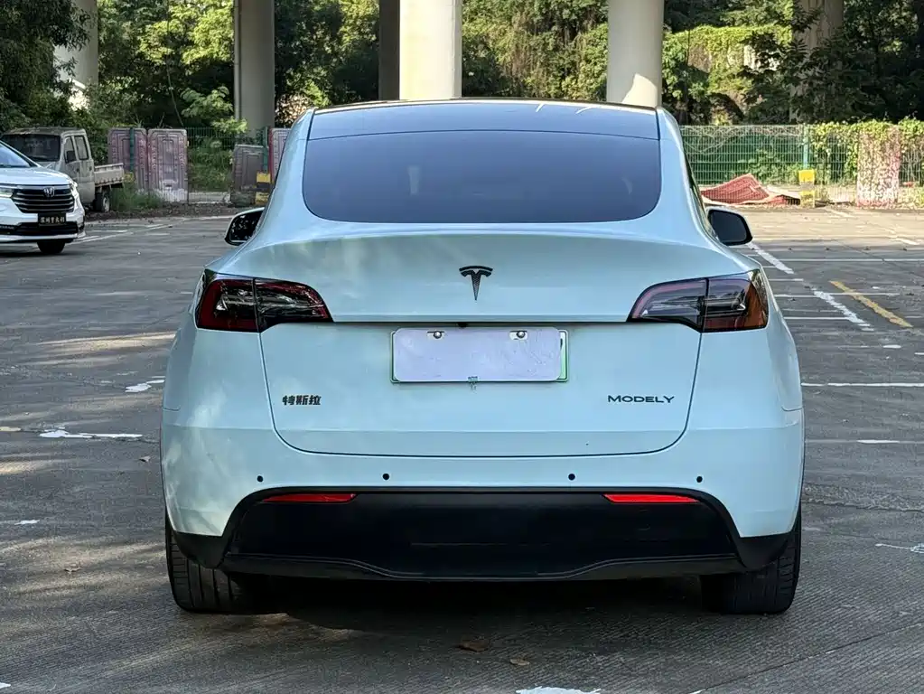 Tesla Model Y 2021 — фото 14