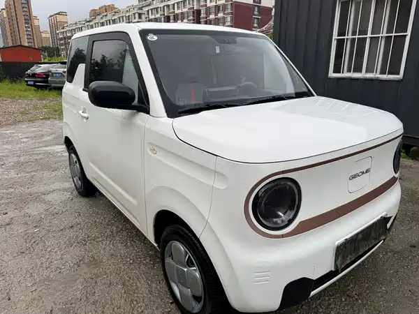 Geely Galaxy Panda 2024