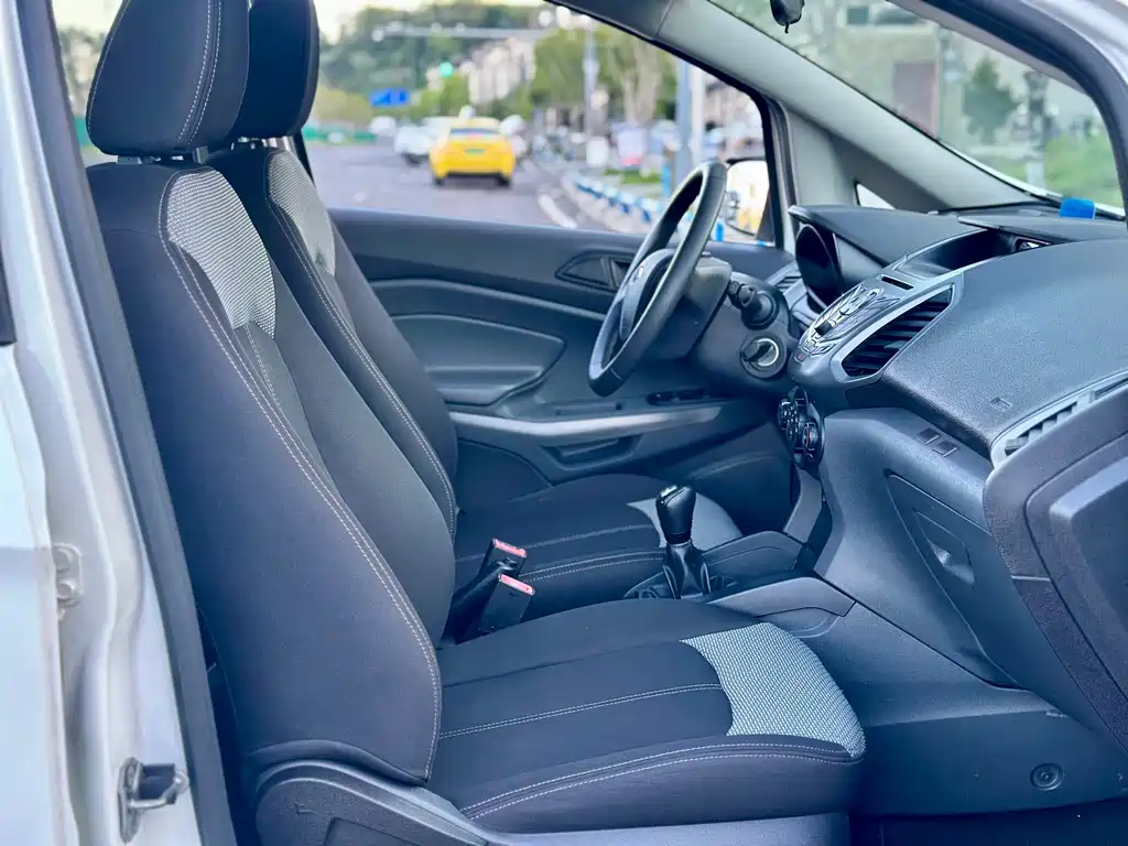 Ford EcoSport 2015 — фото 22
