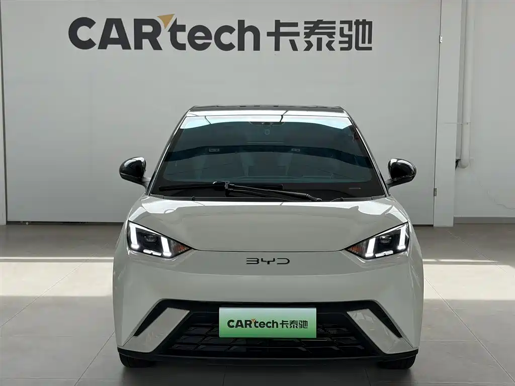 BYD Seagull 2024