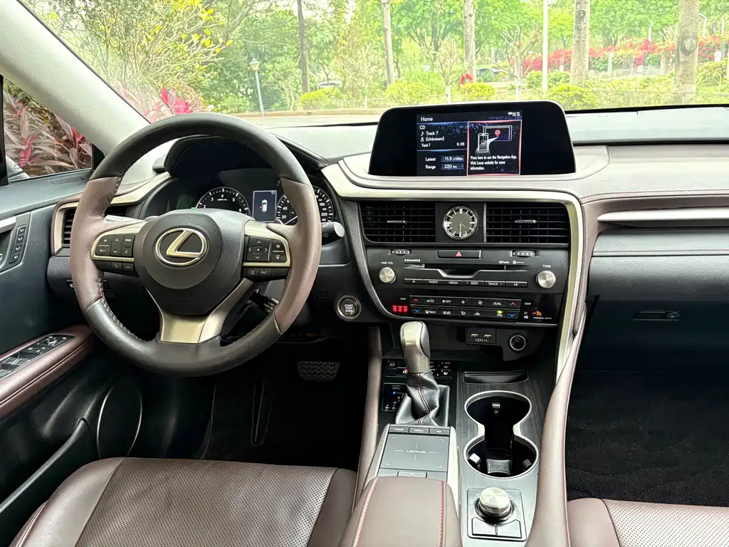 Lexus RX 2020 — фото 18