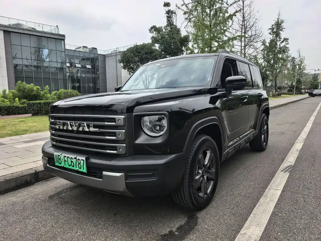 Haval Menglong New Energy 2024
