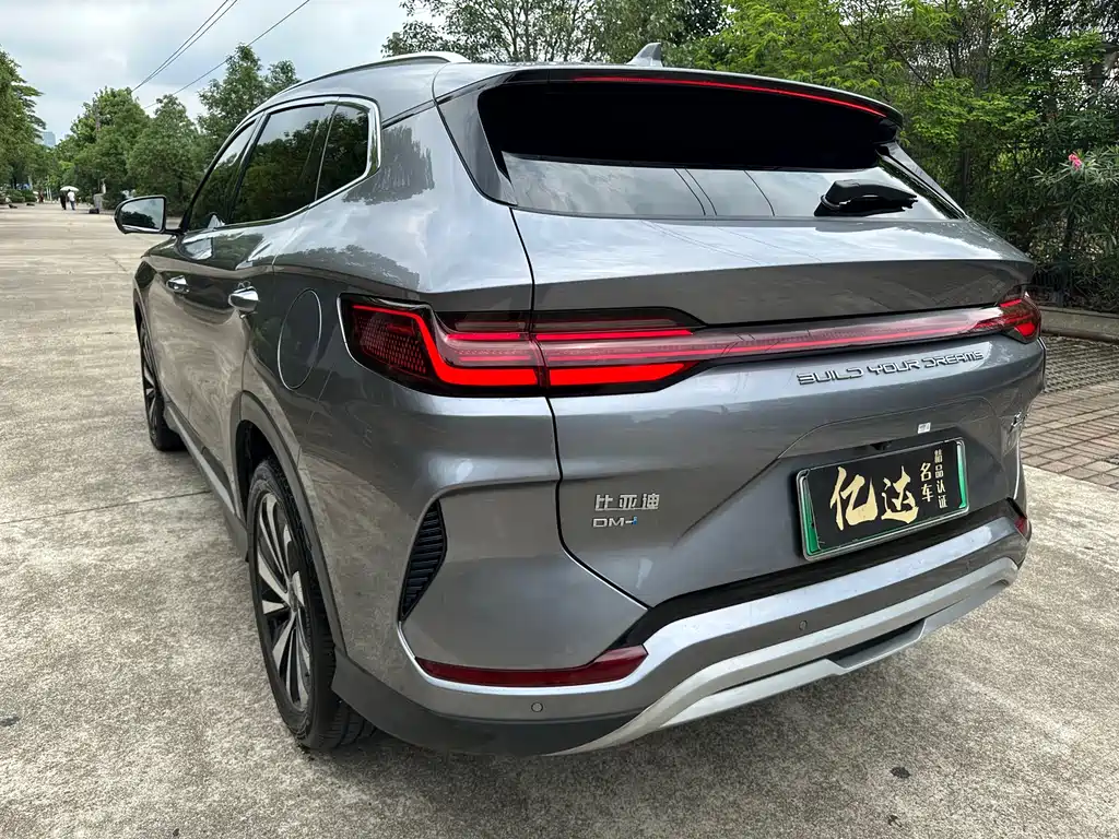 BYD PLUS New Energy 2024 — фото 11