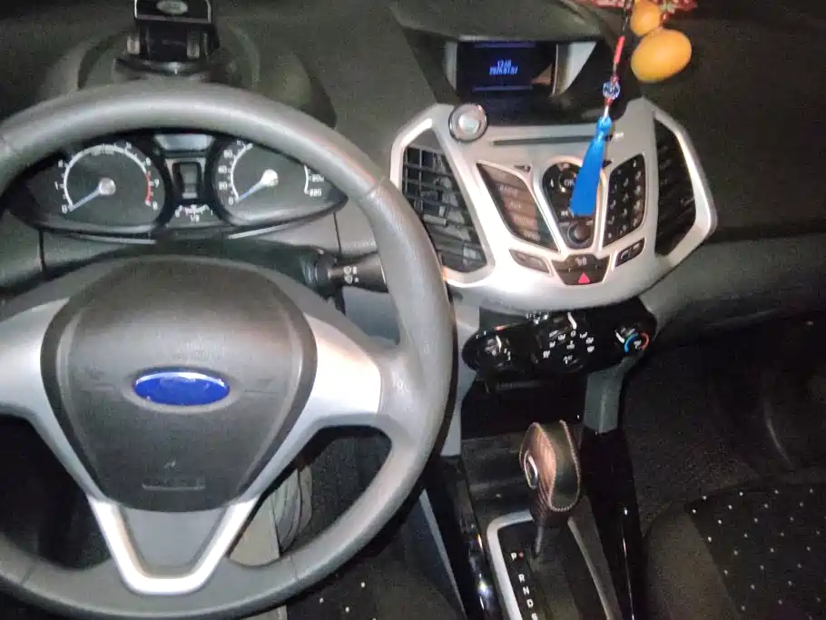 Ford Ecosport 2014 — фото 12