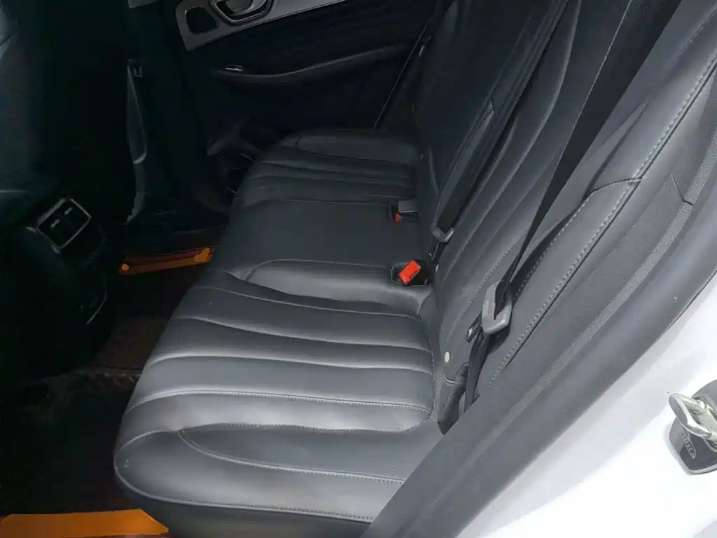 Roewe RX5 MAX 2021 — фото 17