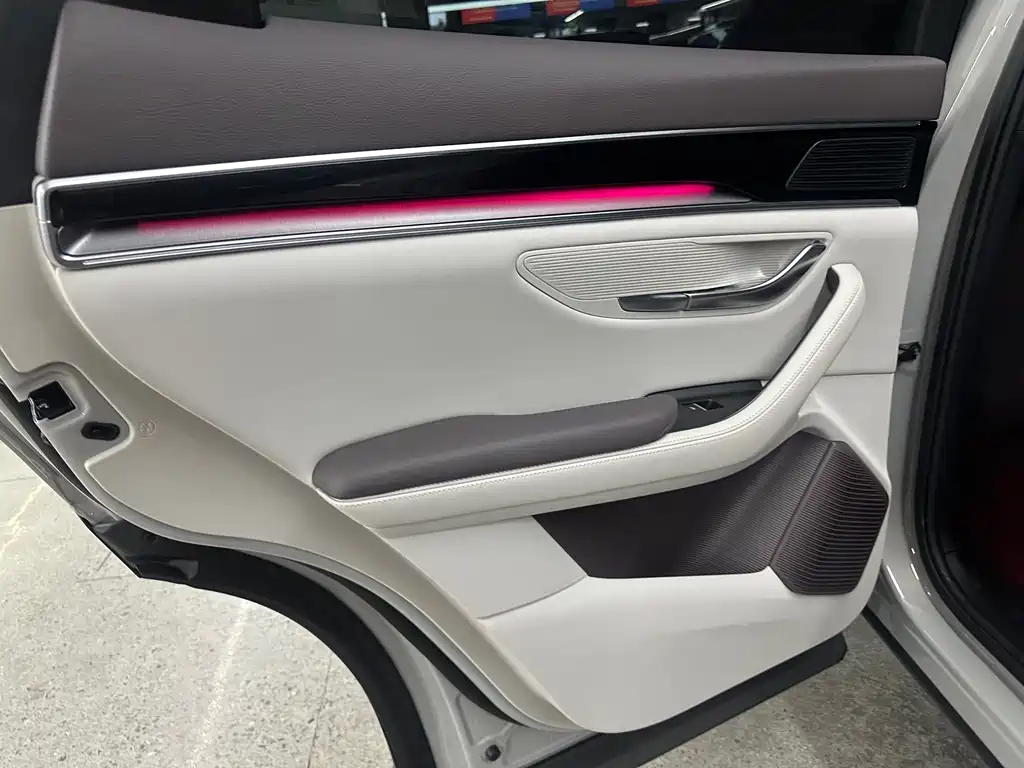 BYD PLUS New Energy 2024 — фото 10