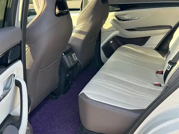 BYD Song PLUS New Energy 2024