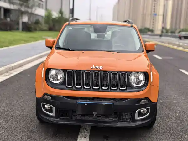 Jeep Freeman 2019