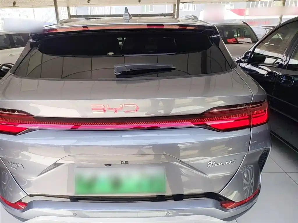 BYD PLUS New Energy 2024 — фото 4