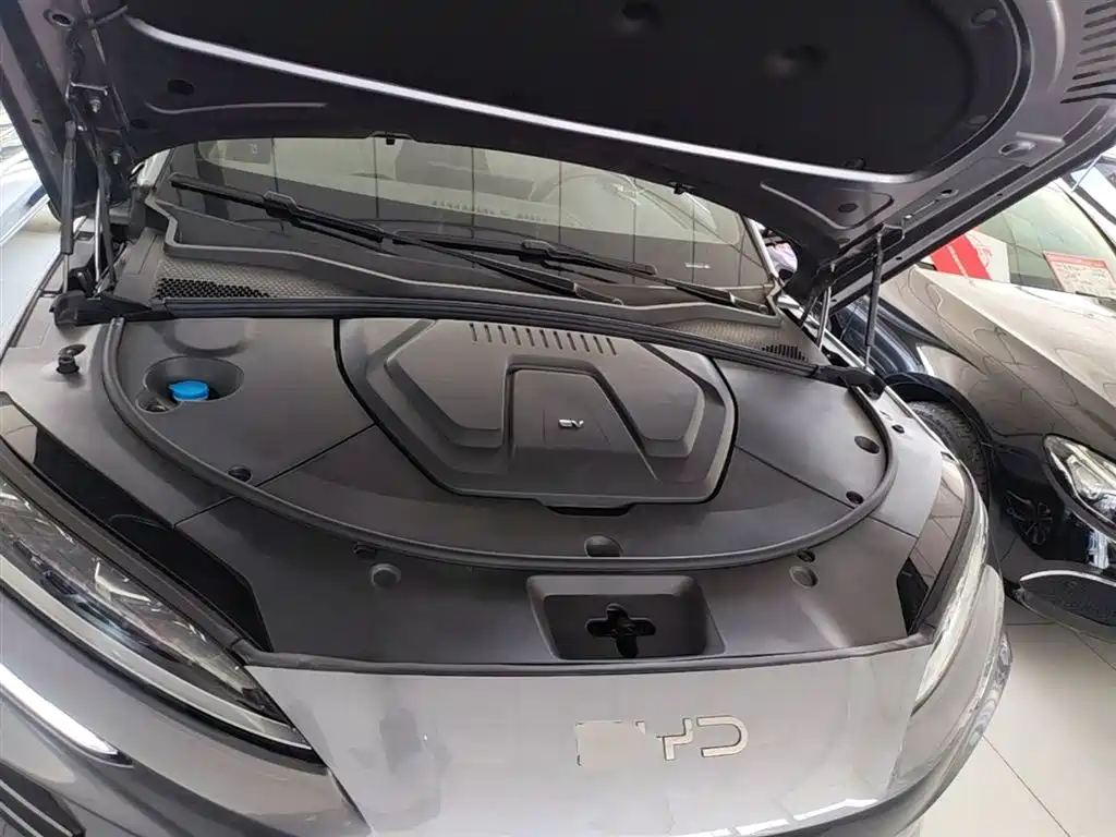 BYD PLUS New Energy 2024 — фото 16