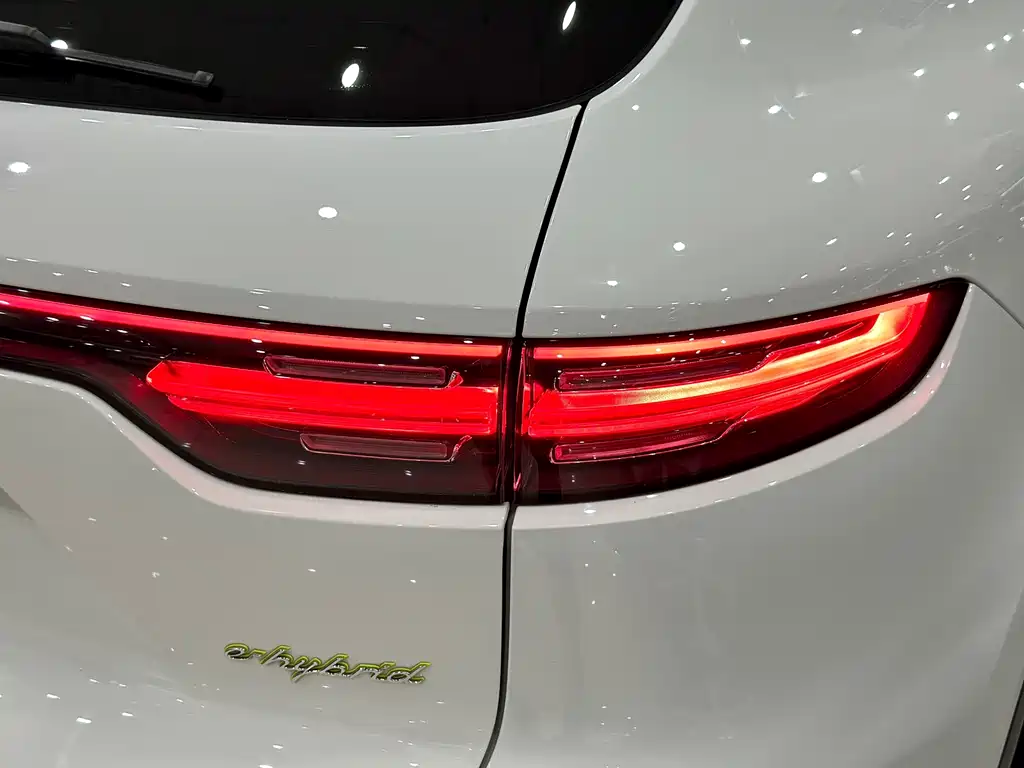 Porsche Cayenne New Energy 2019 — фото 25