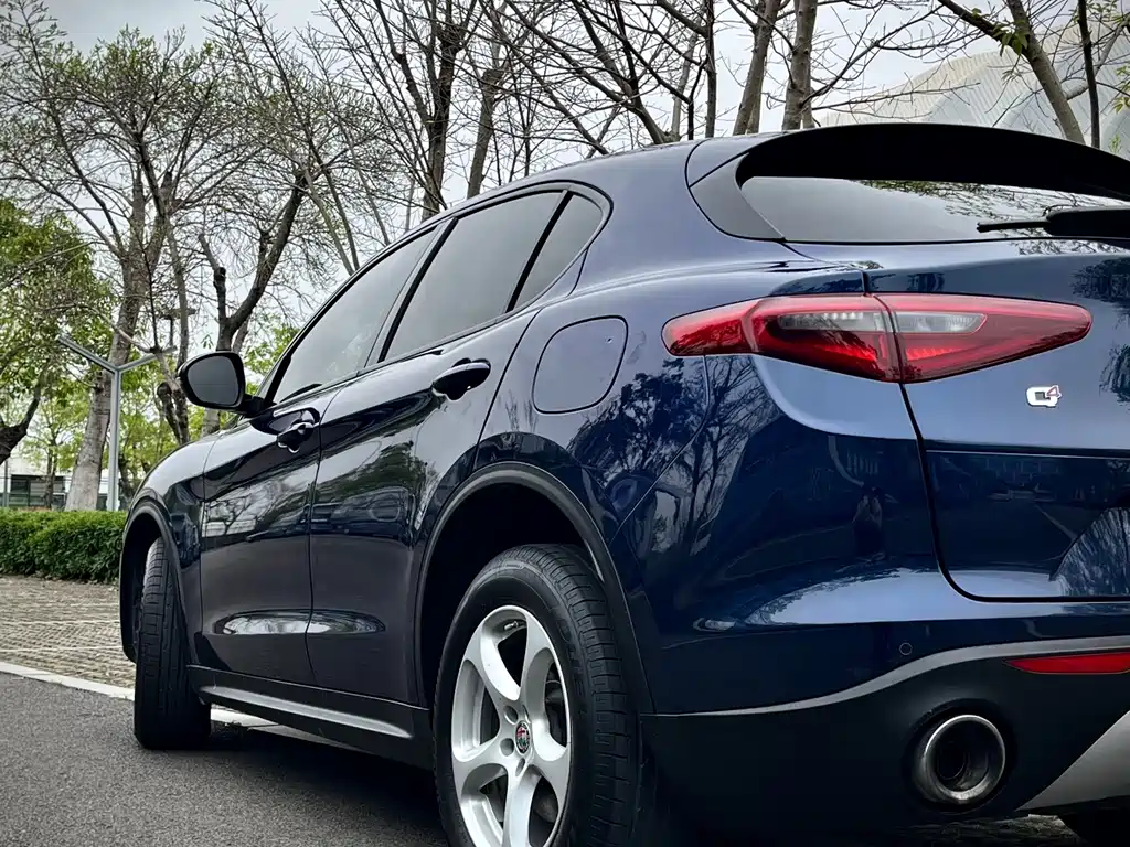 Alfa Romeo Stelvio 2019 — фото 14