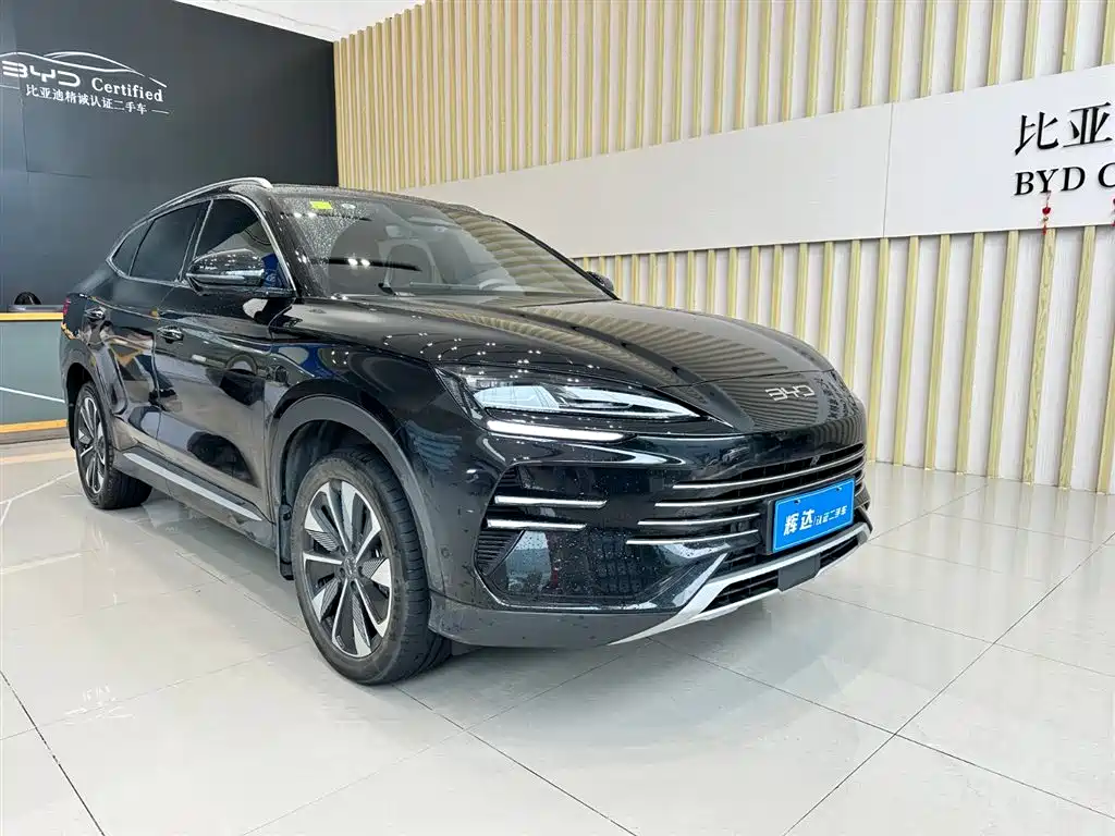 BYD PLUS New Energy 2025 — фото 3