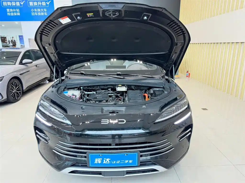 BYD PLUS New Energy 2025 — фото 13