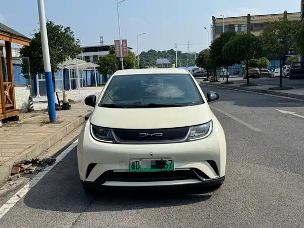 BYD Dolphin 2023