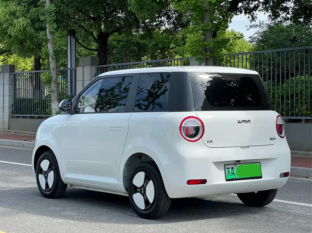 Qiyuan Lumin 2025