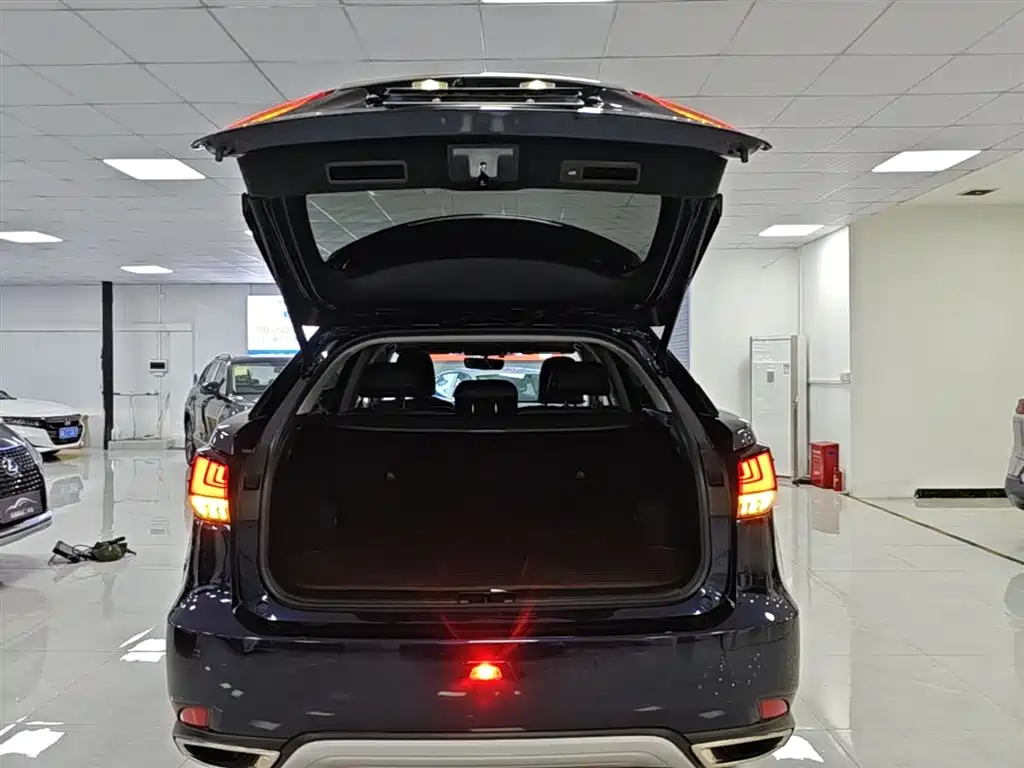Lexus RX 2021 — фото 19