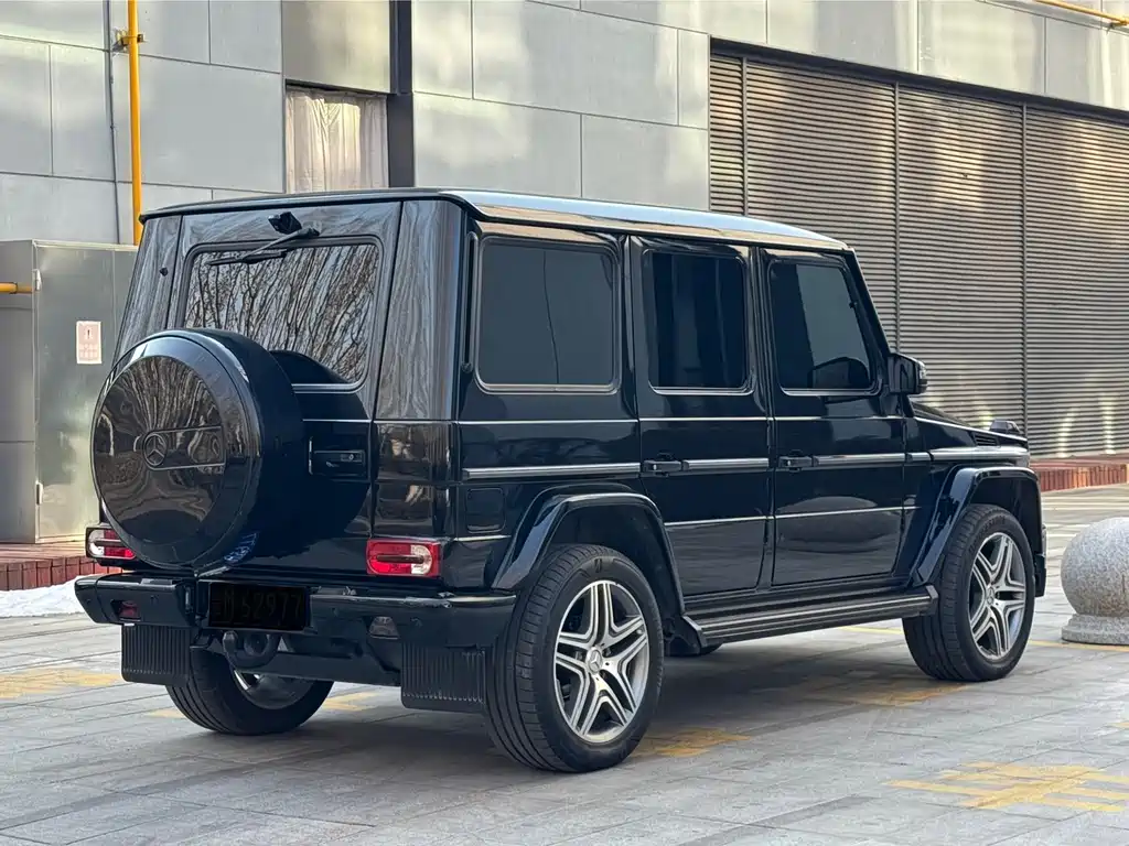 Mercedes-Benz G-Class 2017 — фото 5