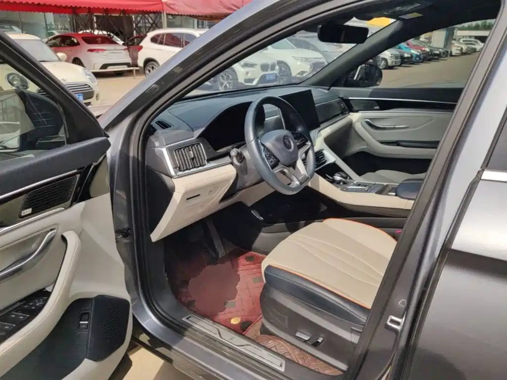 BYD PLUS New Energy 2022 — фото 16