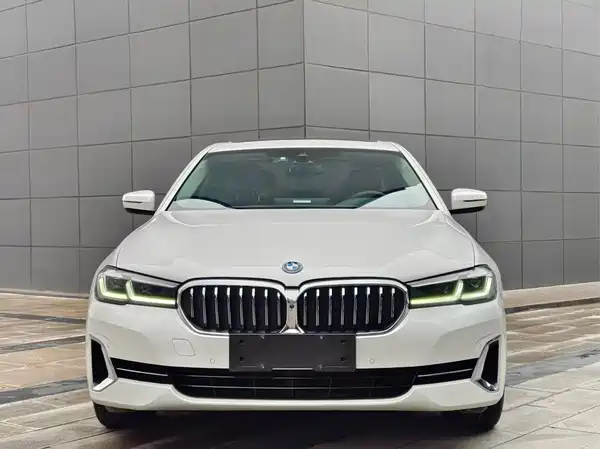 BMW 5 Series New Energy 2022