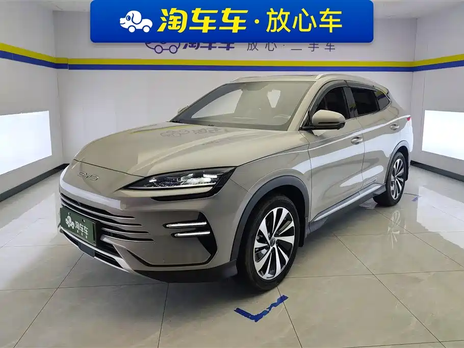BYD PLUS New Energy 2024 — фото 1