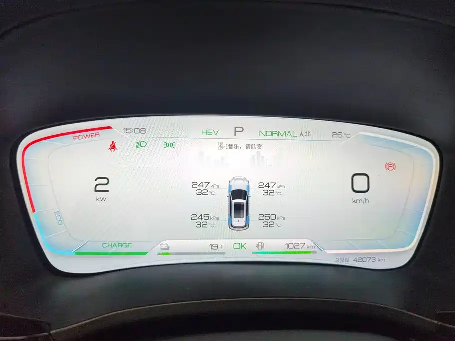BYD PLUS New Energy 2024 — фото 14
