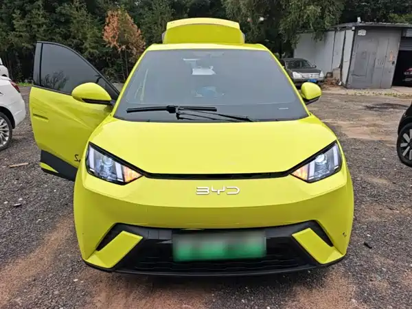 BYD Seagull 2024