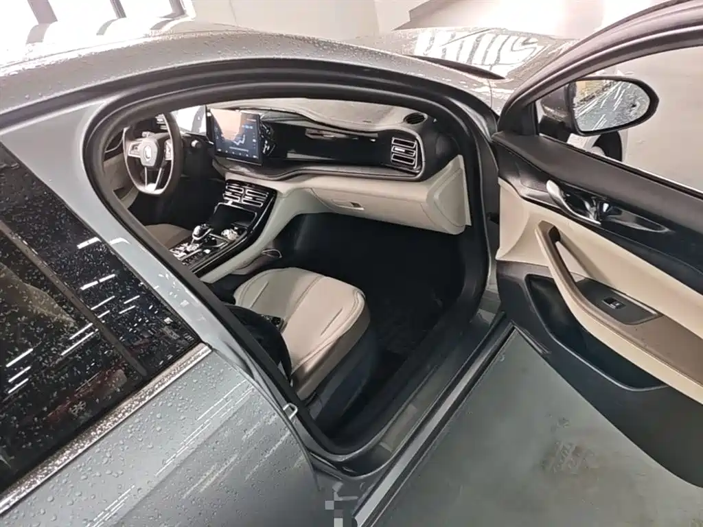 BYD Qin PLUS 2024 — фото 11