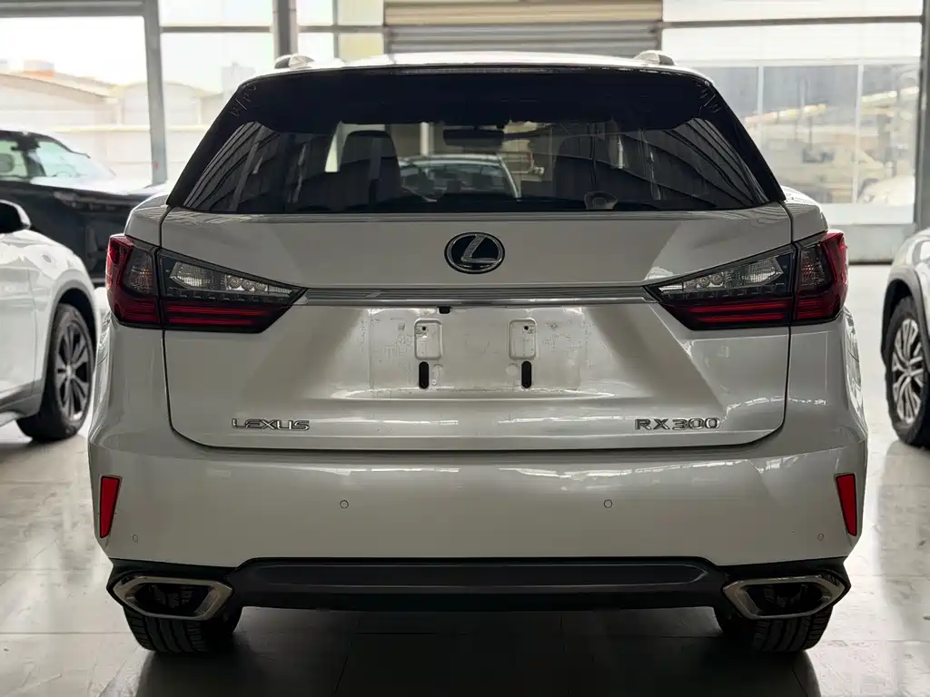 Lexus RX 2018 — фото 13
