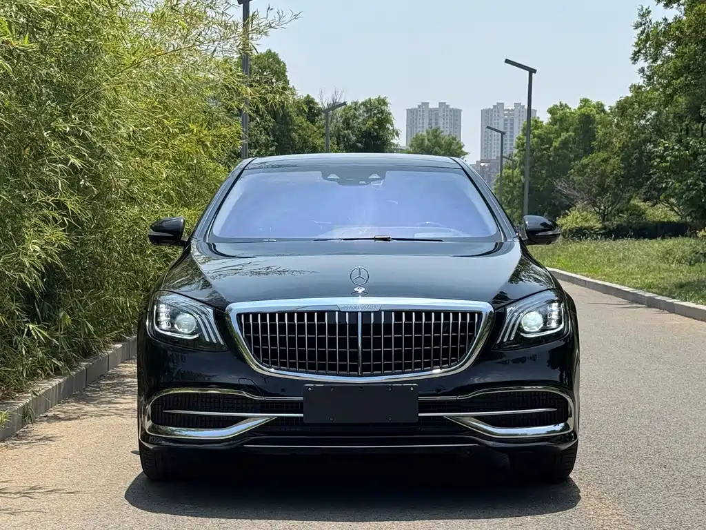 Mercedes-Benz S-Class 2019 — фото 2