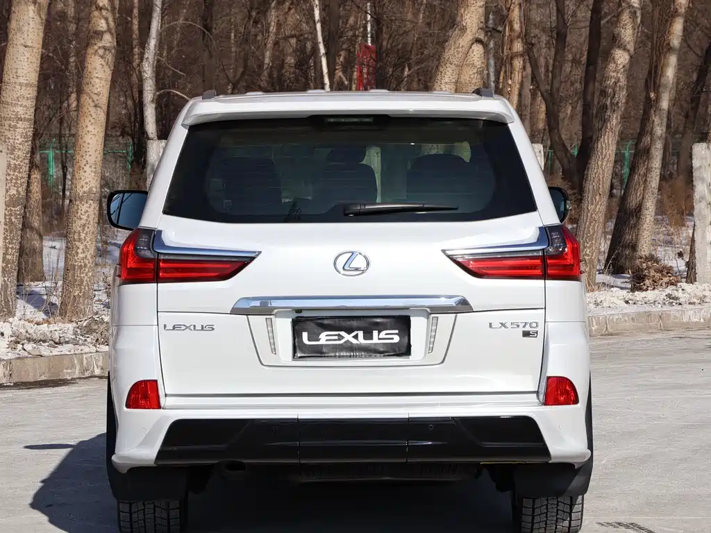 Lexus LX 2019 — фото 10