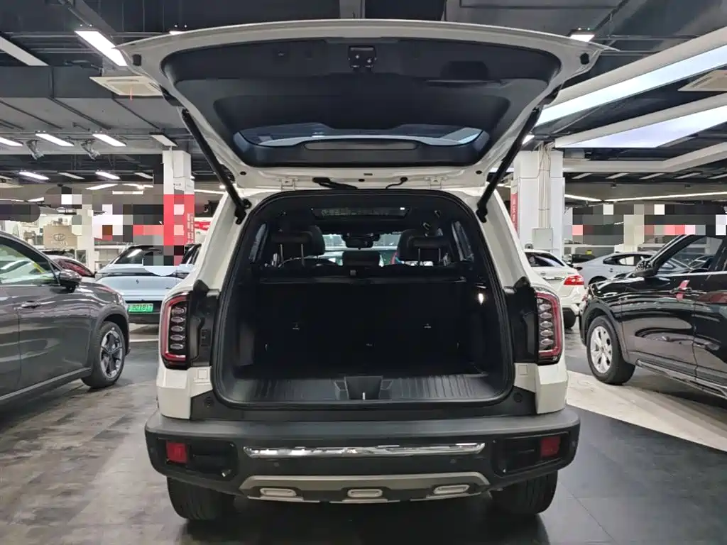 Haval Big Dog 2022 — фото 19