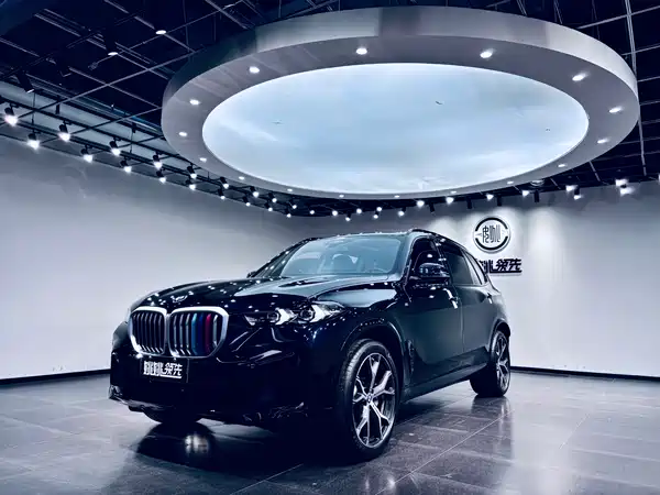 BMW X5 2023