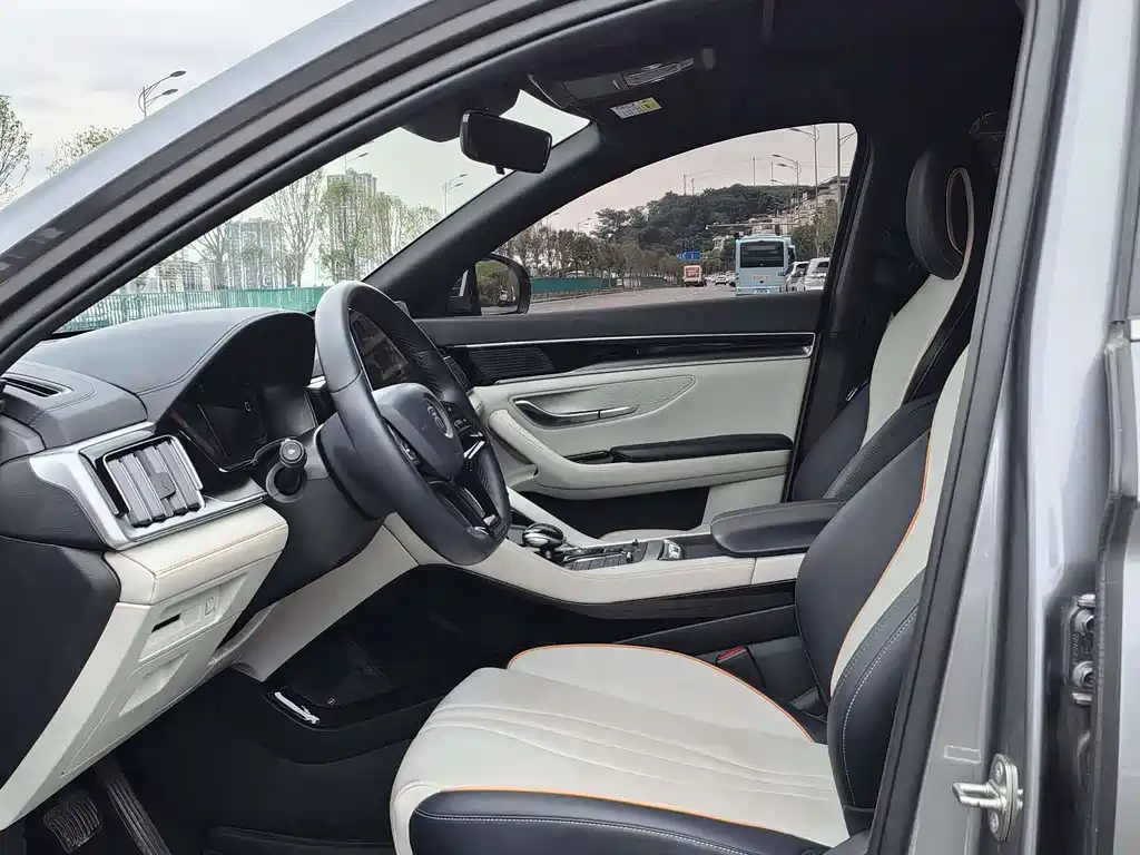 BYD PLUS New Energy 2022 — фото 12