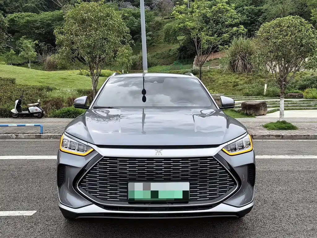 BYD PLUS New Energy 2022 — фото 2