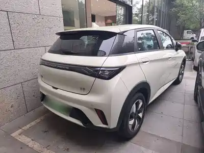 BYD Dolphin 2026