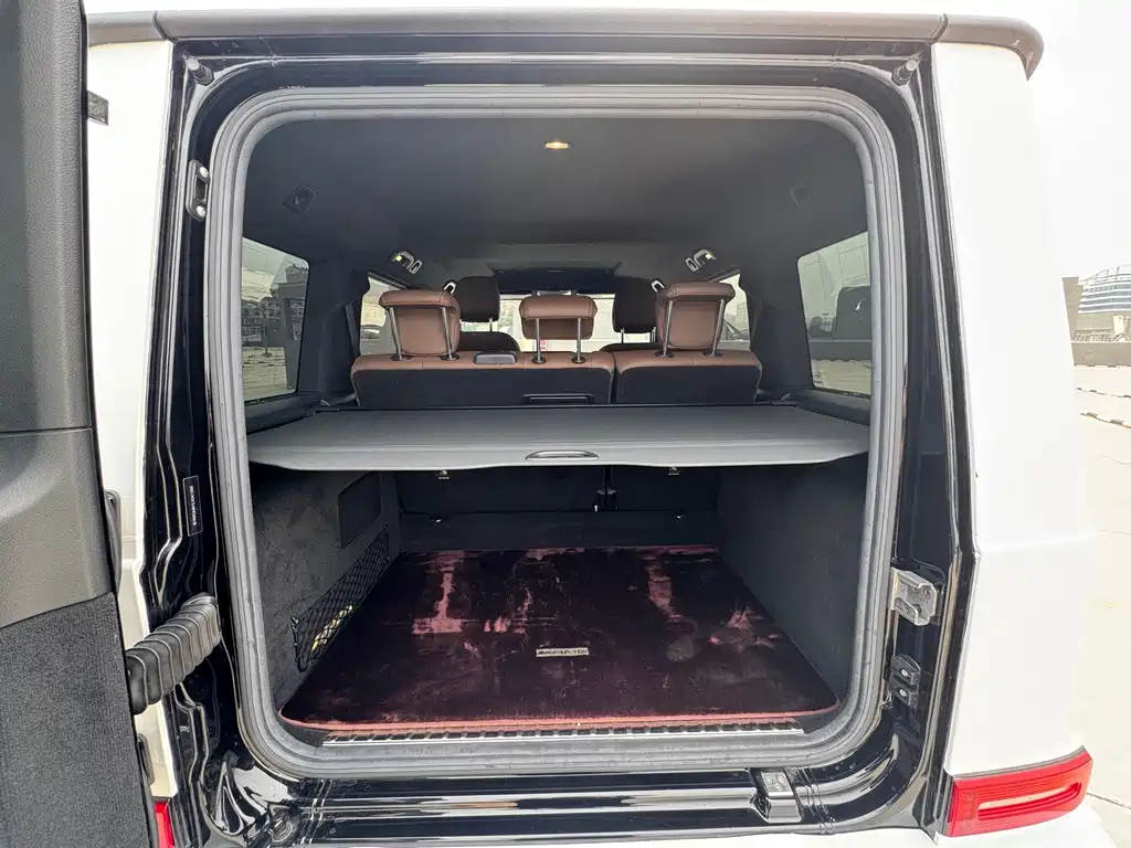 Mercedes-Benz G-Class 2020 — фото 20