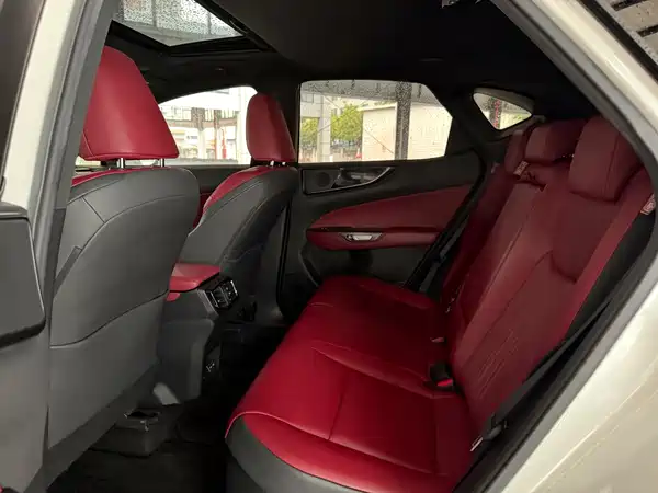 Lexus NX New Energy 2021