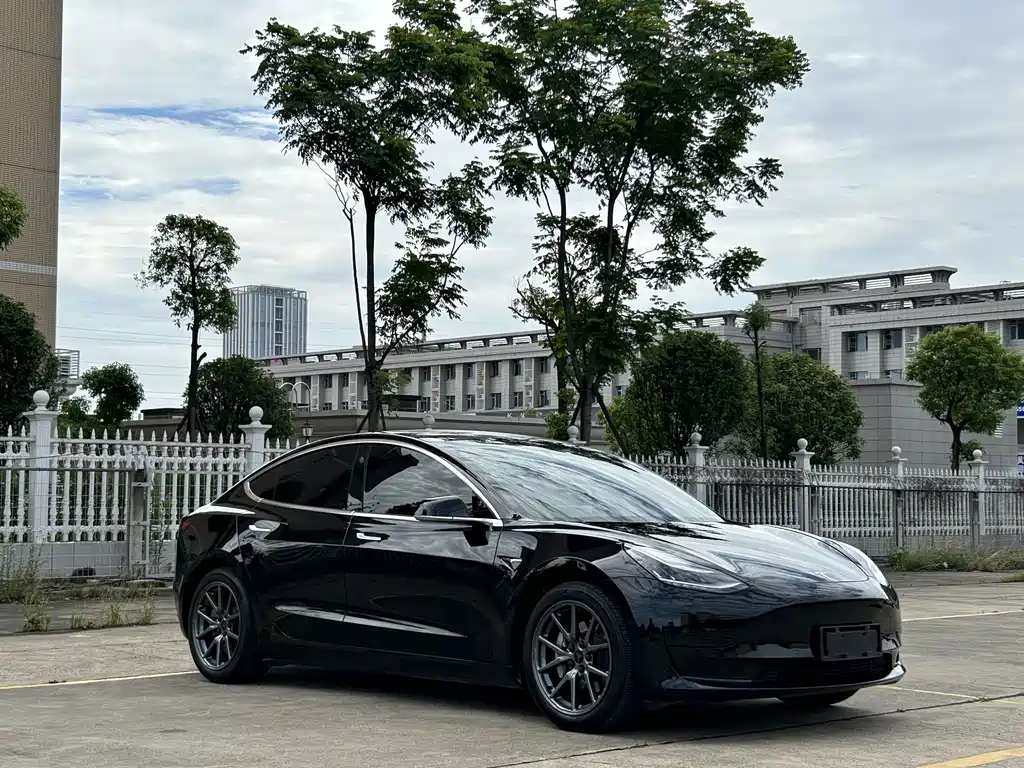 Tesla Model 3 2020 — фото 3