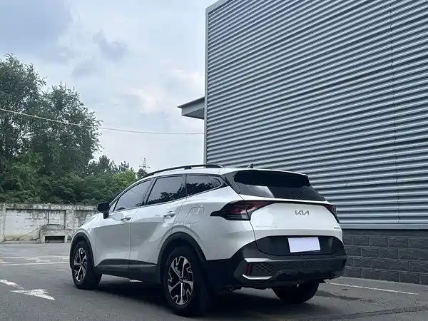 Kia Lion Platinum Expands The Boundary 2024