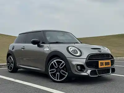 MINI MINI 2021