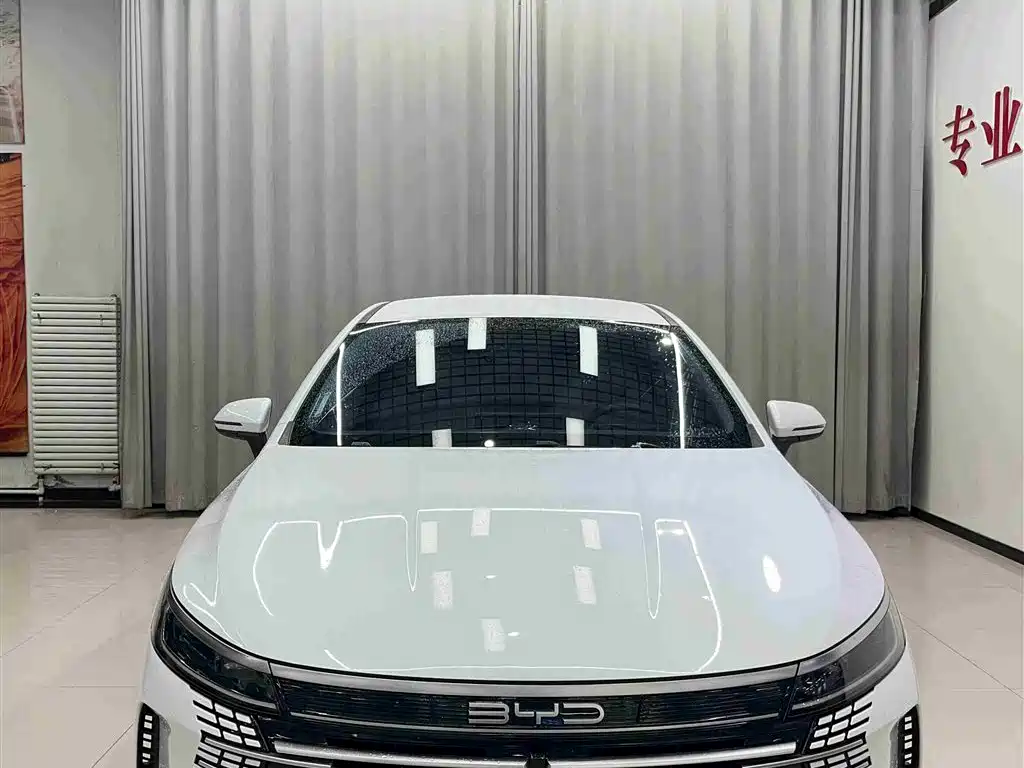 BYD Destroyer 05 2024 — фото 2
