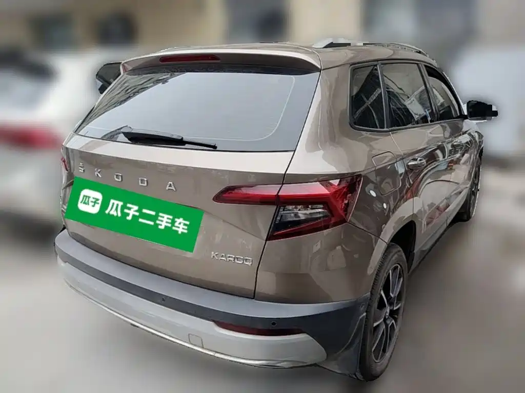 Skoda Karoq 2020 — фото 12