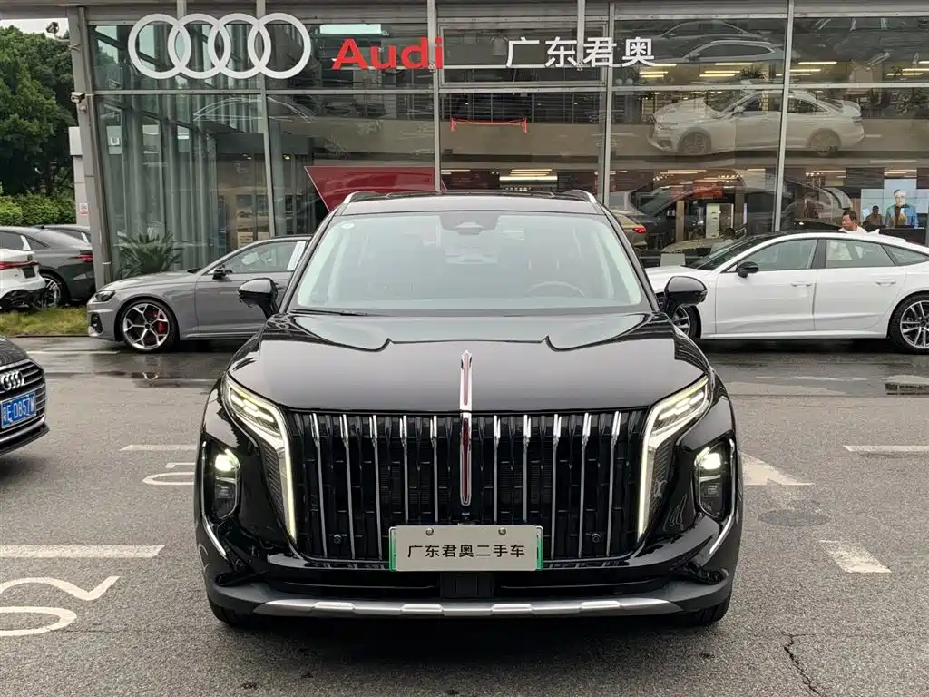 Hongqi HS7 PHEV 2024 — фото 2